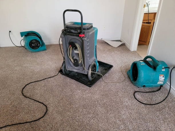 Best Flood restoration services  in Marianne, PA