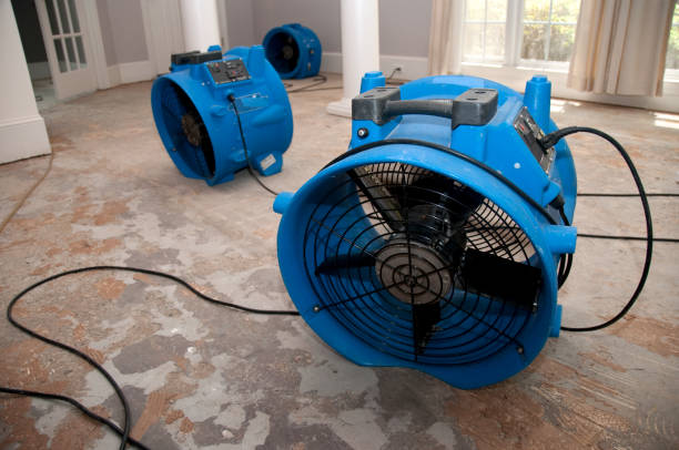 Carpet water damage restoration in Marianne, PA