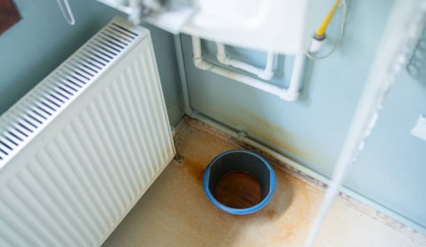 Best Carpet water damage restoration  in Marianne, PA