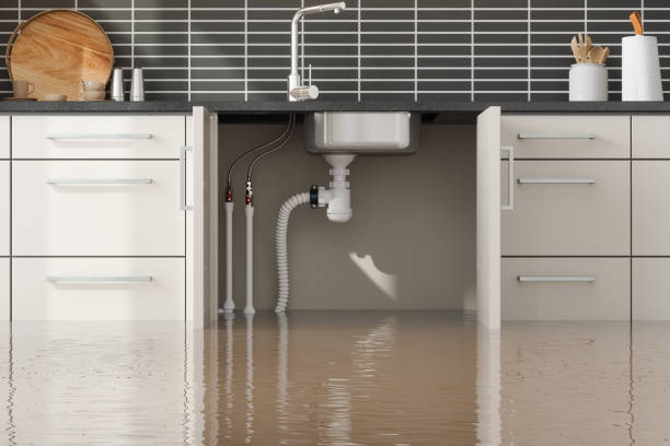 Best Fire Damage Restoration  in Marianne, PA