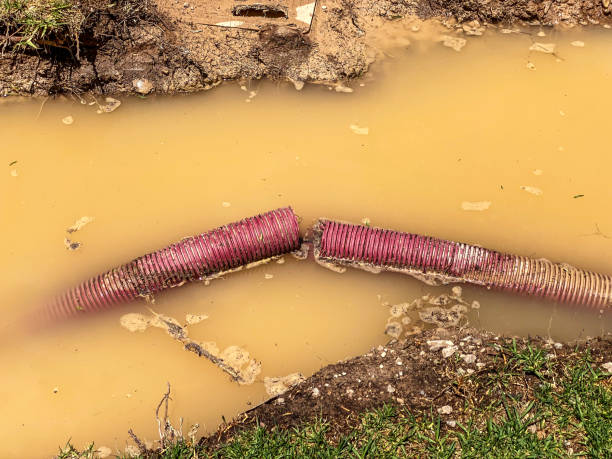 Best Carpet water damage restoration  in Marianne, PA