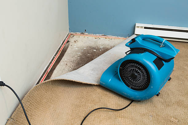 Best Water damage restoration specialists  in Marianne, PA